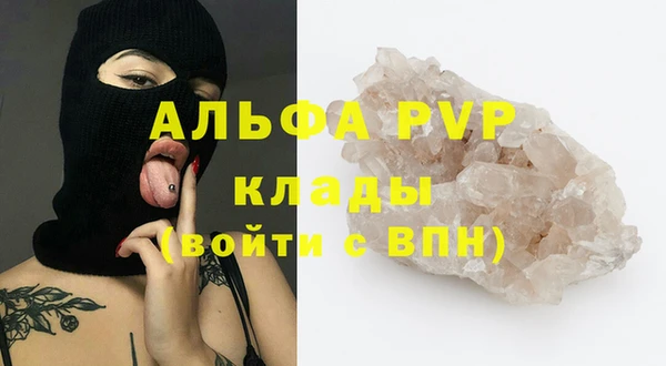 индика Баксан