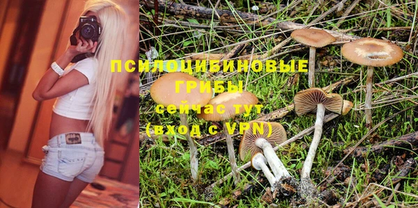 индика Баксан