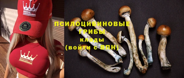 спиды Снежногорск