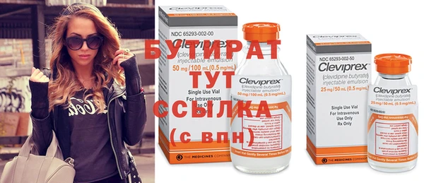 индика Баксан