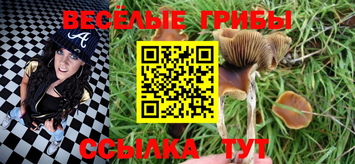 Галлюциногенные грибы Cubensis  Вход с VPN  Галлюциногенные грибы GOLDEN TEACHER  Балабаново 