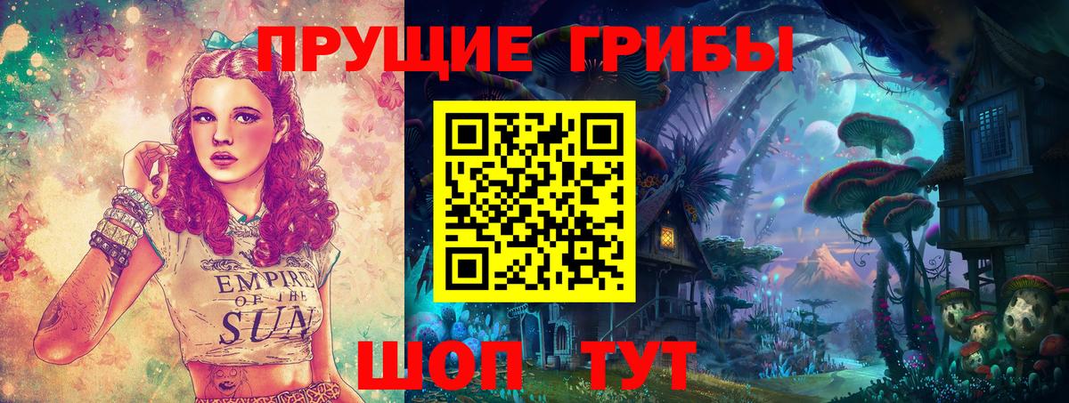 Псилоцибиновые грибы Cubensis Балабаново